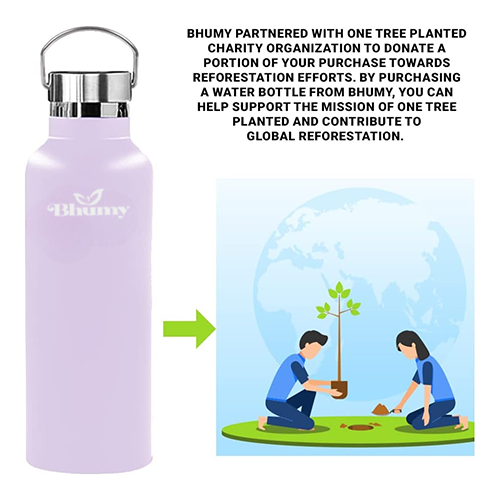 Bhumy Stainless Steel Water Bottles β 22oz Double Wall Stainless Steel Insulated Water Bottle β Water Bottle with Straw and 2 Lids β Leakproof Sports Water Bottle Water for Gym, Office, Travel (LIGHT PINK)