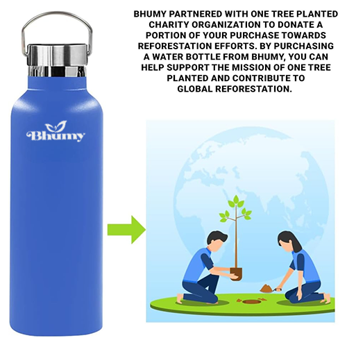 Bhumy Stainless Steel Water Bottles β 22oz Double Wall Stainless Steel Insulated Water Bottle β Water Bottle with Straw and 2 Lids β Leakproof Sports Water Bottle Water for Gym, Office, Travel (VIOLET BLUE))