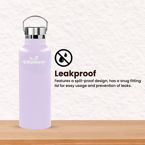 Bhumy Stainless Steel Water Bottles β 22oz Double Wall Stainless Steel Insulated Water Bottle β Water Bottle with Straw and 2 Lids β Leakproof Sports Water Bottle Water for Gym, Office, Travel (LIGHT PINK)