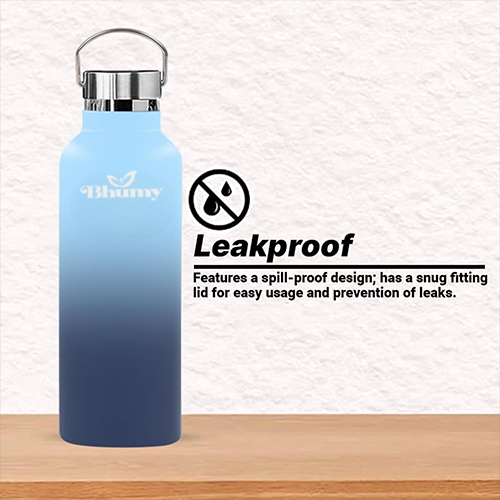 Bhumy Stainless Steel Water Bottles β 22oz Double Wall Stainless Steel Insulated Water Bottle β Water Bottle with Straw and 2 Lids β Leakproof Sports Water Bottle Water for Gym, Office, Travel (MIXED COLOR)