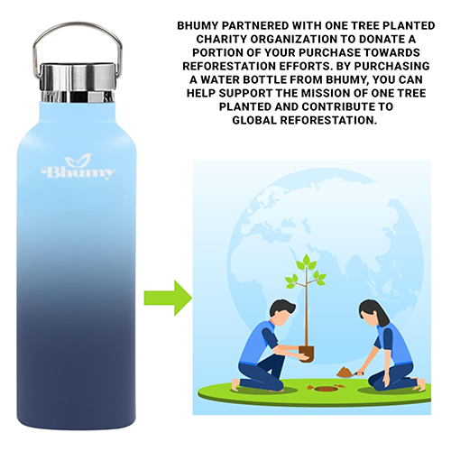 Bhumy Stainless Steel Water Bottles β 22oz Double Wall Stainless Steel Insulated Water Bottle β Water Bottle with Straw and 2 Lids β Leakproof Sports Water Bottle Water for Gym, Office, Travel (MIXED COLOR)