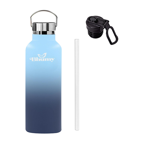 Bhumy Stainless Steel Water Bottles – 22oz Double Wall Stainless Steel Insulated Water Bottle – Water Bottle with Straw and 2 Lids – Leakproof Sports Water Bottle Water for Gym, Office, Travel (MIXED COLOR)