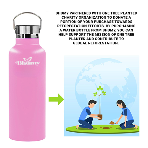 Bhumy Stainless Steel Water Bottles β 22oz Double Wall Stainless Steel Insulated Water Bottle β Water Bottle with Straw and 2 Lids β Leakproof Sports Water Bottle Water for Gym, Office, Travel (DARK PINK)