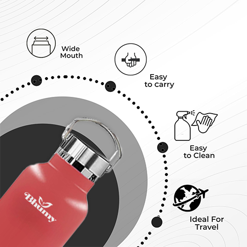 Bhumy Stainless Steel Water Bottles β 22oz Double Wall Stainless Steel Insulated Water Bottle β Water Bottle with Straw and 2 Lids β Leakproof Sports Water Bottle Water for Gym, Office, Travel (RED)