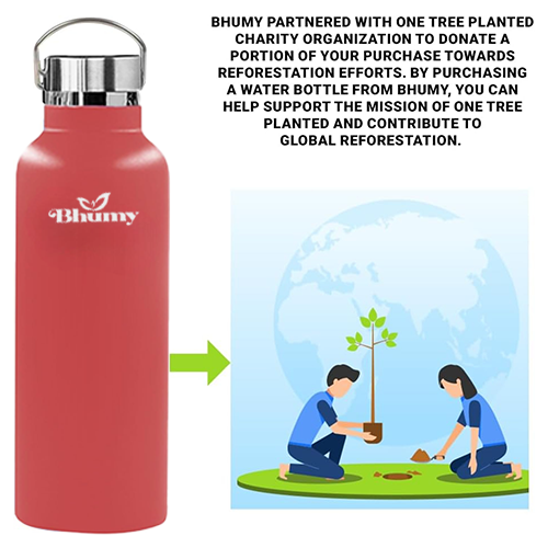 Bhumy Stainless Steel Water Bottles β 22oz Double Wall Stainless Steel Insulated Water Bottle β Water Bottle with Straw and 2 Lids β Leakproof Sports Water Bottle Water for Gym, Office, Travel (RED)
