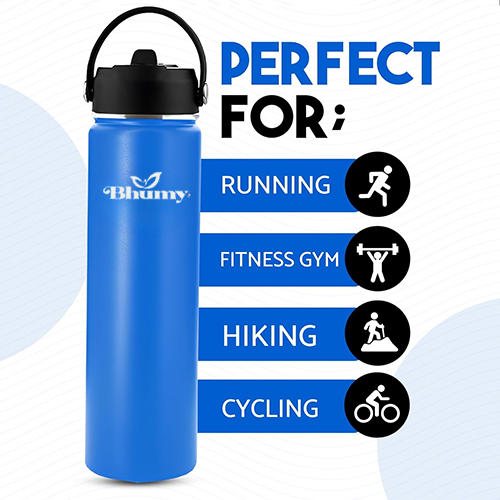 Bhumy Stainless Steel Water Bottles β 24oz Double Wall Stainless Steel Insulated Water Bottle β Water Bottle with Straw and 2 Lids β Leakproof Sports Water Bottle Water for Gym, Office, Travel (VIOLET BLUE)