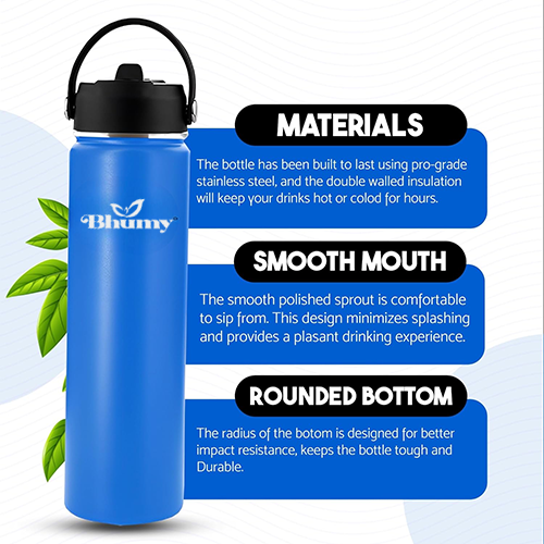 Bhumy Stainless Steel Water Bottles β 24oz Double Wall Stainless Steel Insulated Water Bottle β Water Bottle with Straw and 2 Lids β Leakproof Sports Water Bottle Water for Gym, Office, Travel (VIOLET BLUE)