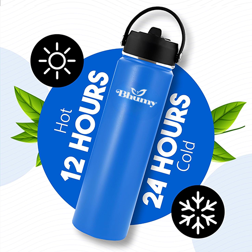 Bhumy Stainless Steel Water Bottles β 24oz Double Wall Stainless Steel Insulated Water Bottle β Water Bottle with Straw and 2 Lids β Leakproof Sports Water Bottle Water for Gym, Office, Travel (VIOLET BLUE)