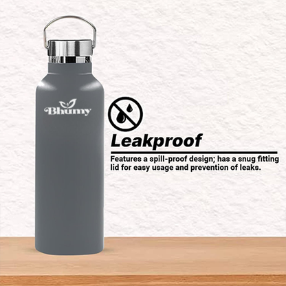 Bhumy Stainless Steel Water Bottles – 22oz Double Wall Stainless Steel Insulated Water Bottle – Water Bottle with Straw and 2 Lids – Leakproof Sports Water Bottle Water for Gym, Office, Travel (GREY)